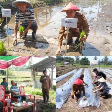 Dukung Gerakan Swasembada Pangan, JG-KWL Safari Tanam Dua Komoditi Strategis di Kecamatan Airmadidi
